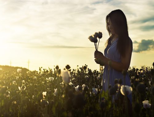 Manifesting What You Want