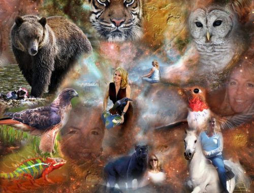 Ways of locating your spirit animal